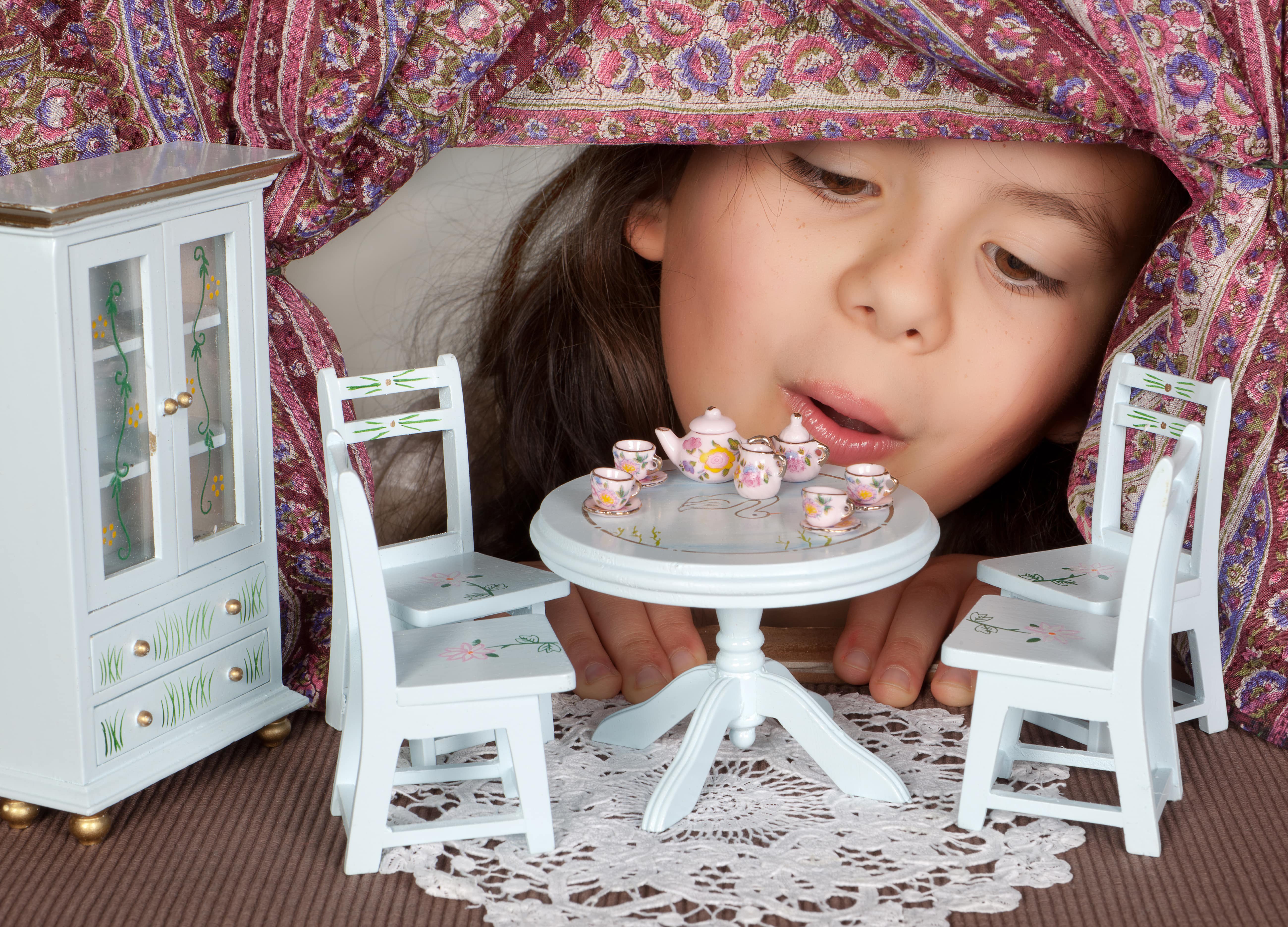 Dollhouse Miniatures: A Child’s Toy & Adult Hobby