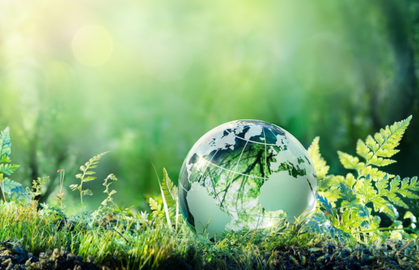 Safety and Health Links