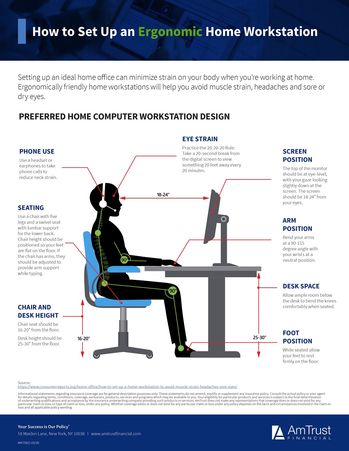 Ergonomic Workstation Setup