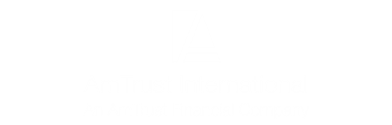 AFSI AmTrust International image