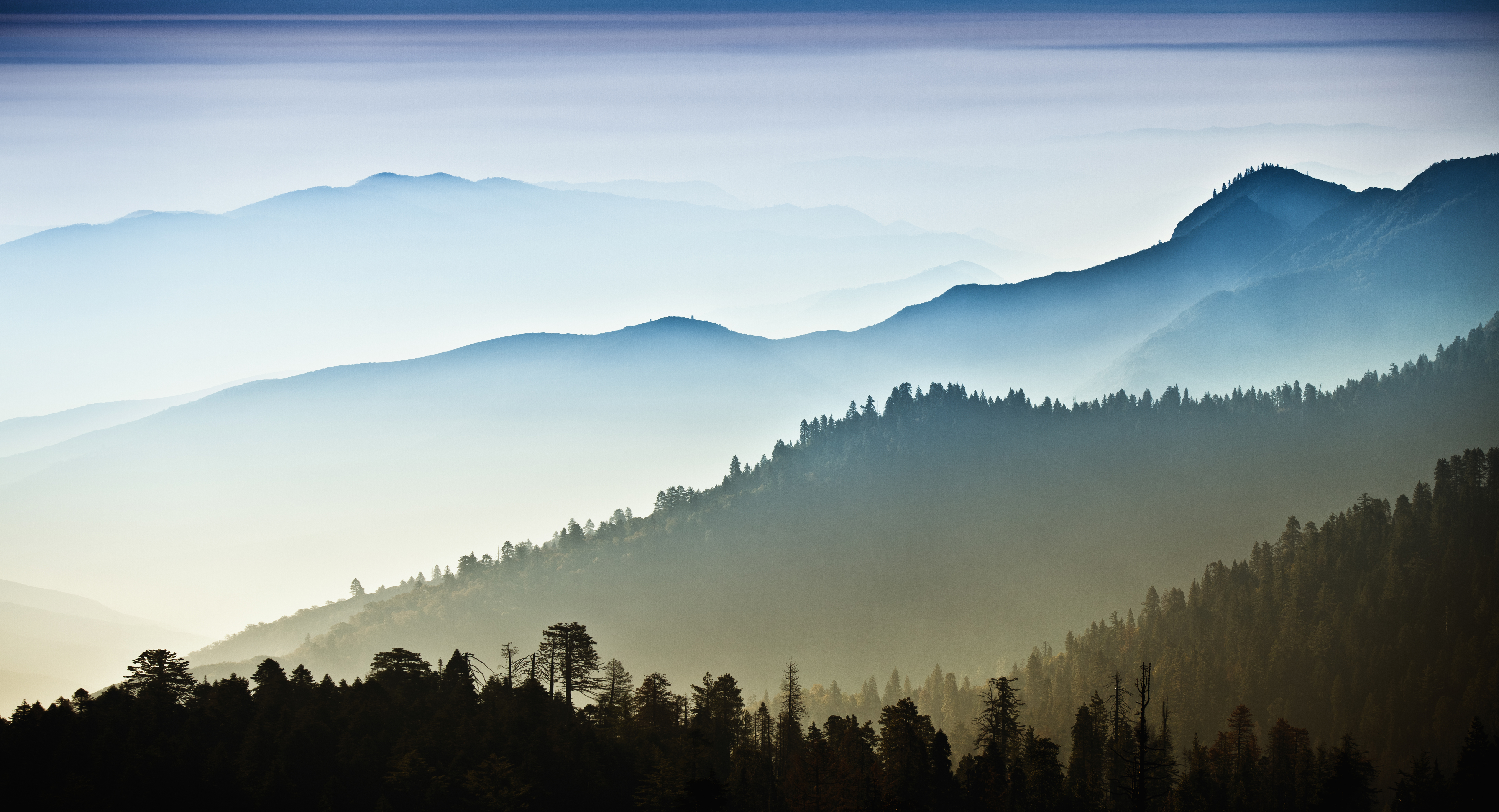 AmTrust Global Insurance Provider