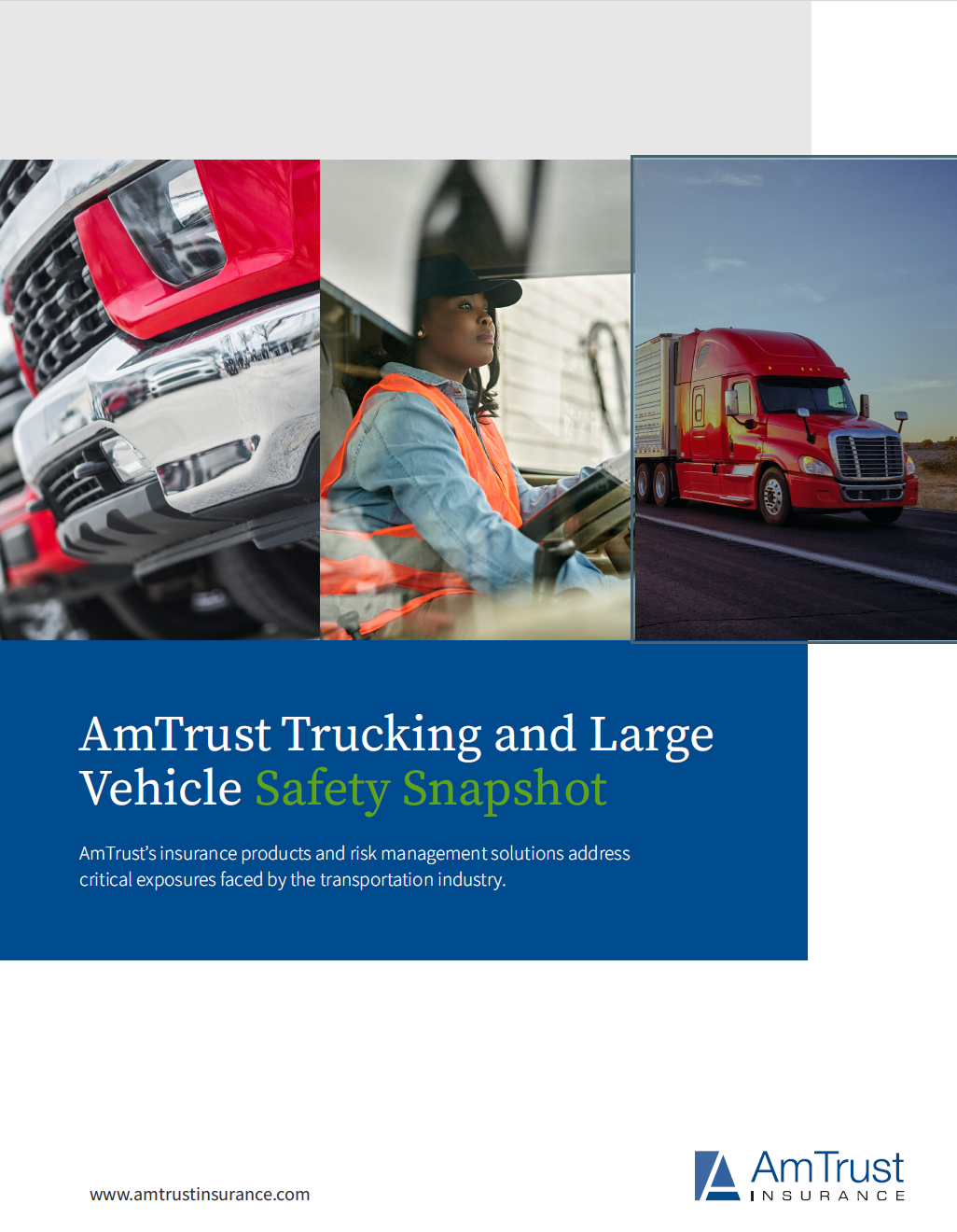 Truck and Large Vehicle Report